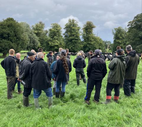 Farm Walk at Clawdd Offa discussing Once a Day Milking