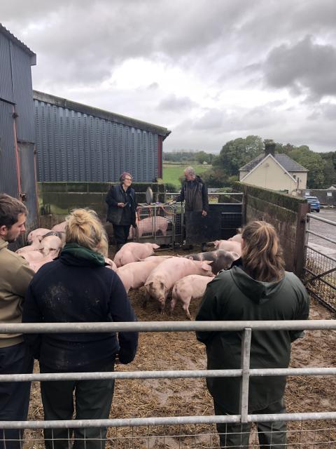 Gaining valuable knowledge on pig production and management through Farming Connect training programme