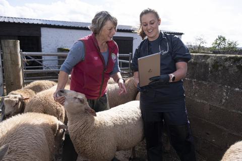 Veterinary surgeon Eleri Davies (right) of Farm First Vets with farmer Cath Godfrey from The Artha Farm, Tregare, Mounmouthshire.