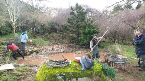 Restoring a choked pond